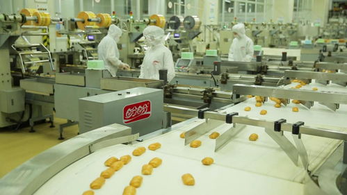 為巴黎奧運會喝彩——盼盼之家巴黎體驗店開幕與麥秸畫藝術盛宴