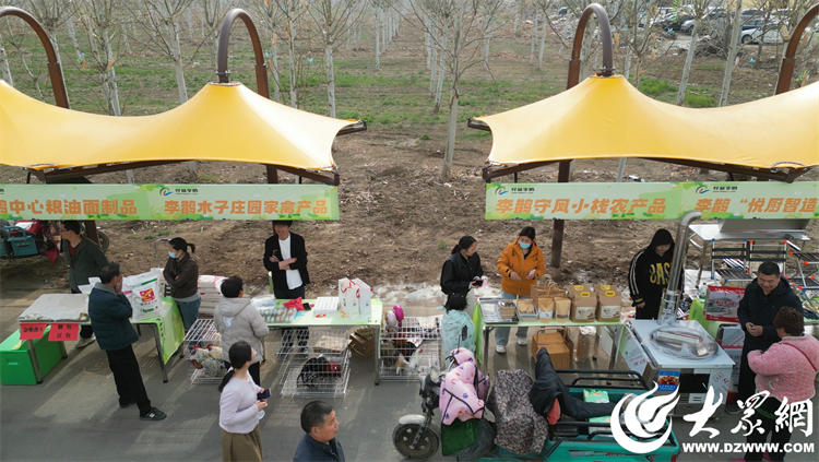 匠心傳承，共富同行 廣饒縣李鵲鎮“好品李鵲共富市集”上的麥秸畫藝術