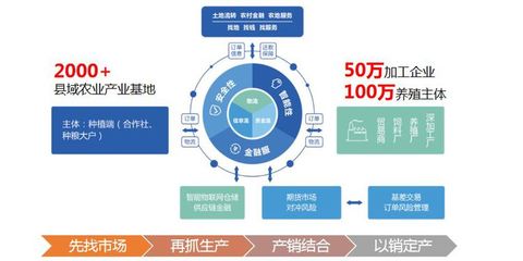 布瑞克農(nóng)業(yè)互聯(lián)網(wǎng)與北大荒集團(tuán)北安分公司達(dá)成戰(zhàn)略合作，攜手推進(jìn)物聯(lián)網(wǎng)服務(wù)新篇章