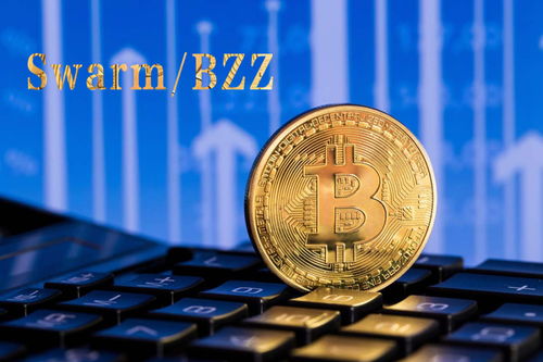 BZZ節(jié)點(diǎn)與Swarm網(wǎng)絡(luò) 聚焦數(shù)據(jù)安全與物聯(lián)網(wǎng)服務(wù)優(yōu)勢(shì)